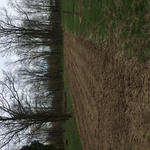 Ten acres we maintain