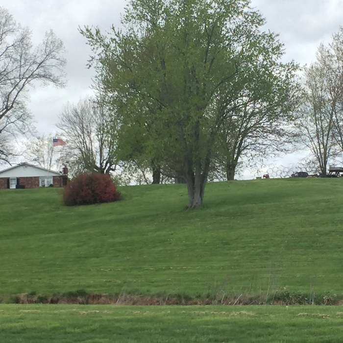 Ten acres we maintain