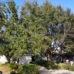 Day 1
