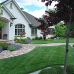 Lawn Mowing