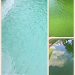 Green to clean