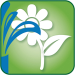 SPRING STARTUP