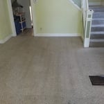 removal stain