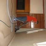more picture stain carpet
