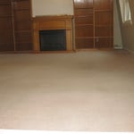 more picture stain carpet