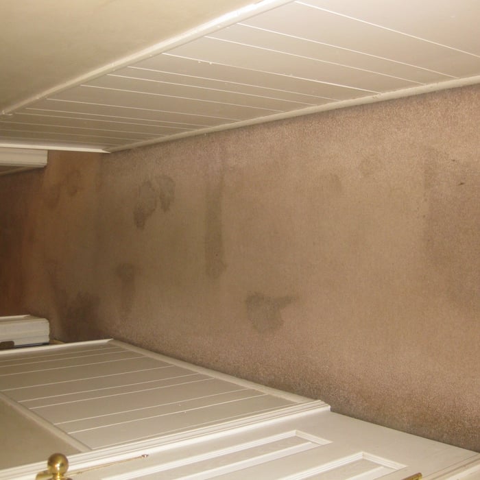 more picture stain carpet