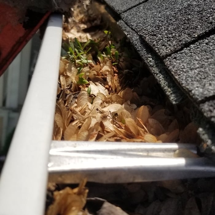 Gutter Cleaning