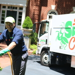 Residential Shrub and Tree Care