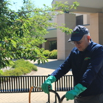 Commercial Shrub and Tree Care