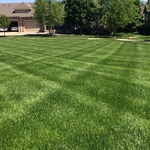Healthy Vista Turf