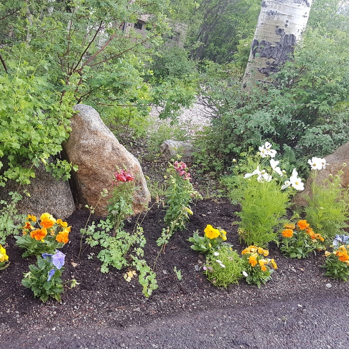Gardens