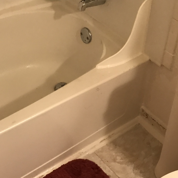 Bathroom Tub Leak Repair