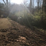 Removing Brush and trees.