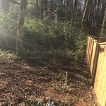 Heavy Wooded Area