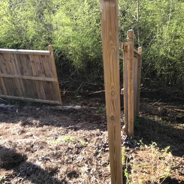 Fence Removal