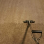 Carpet Cleaning