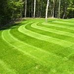 Our Work