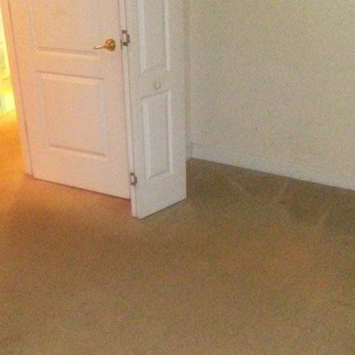 apartment clean up