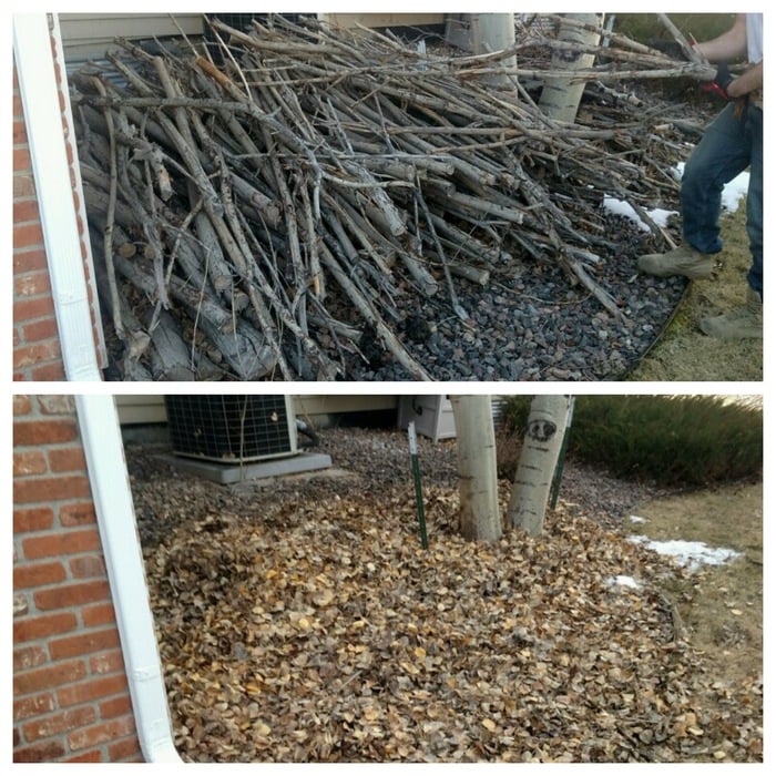 Tree Limbs (yard clean up)