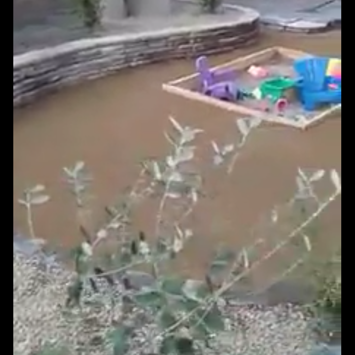 Raised planter/retaining wall planter