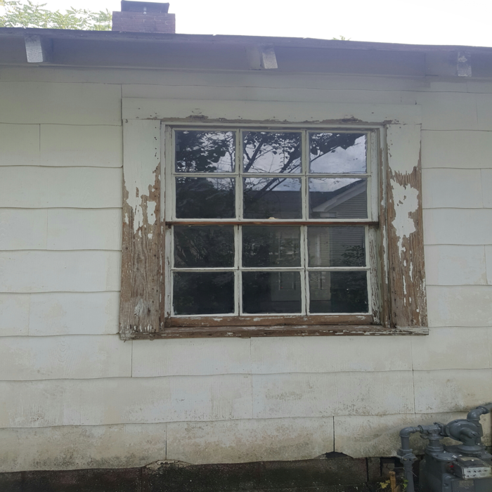Our Work