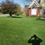 Grass cutting