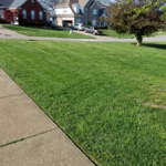 Grass cutting