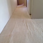 Hallway after cleaning