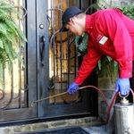 Exterminators