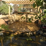 Fairy Garden