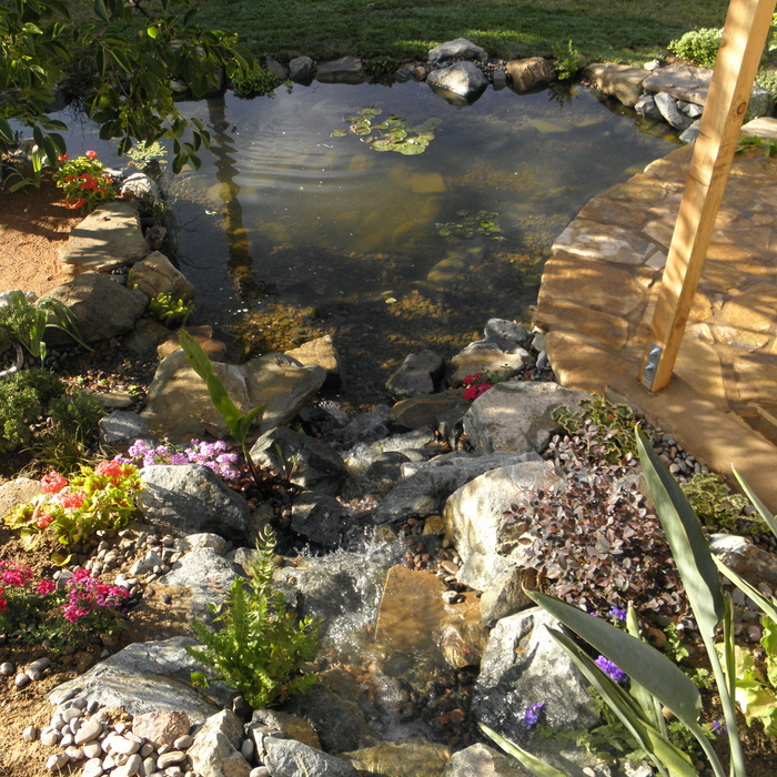 fairy garden