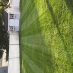 Weekly Mow, Fert Program, Sufficient Water