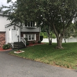 Front yard 2017