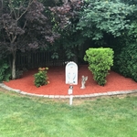 July 2017