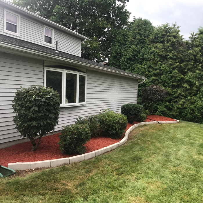 july2017 Backyard