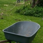 Large Tree removal