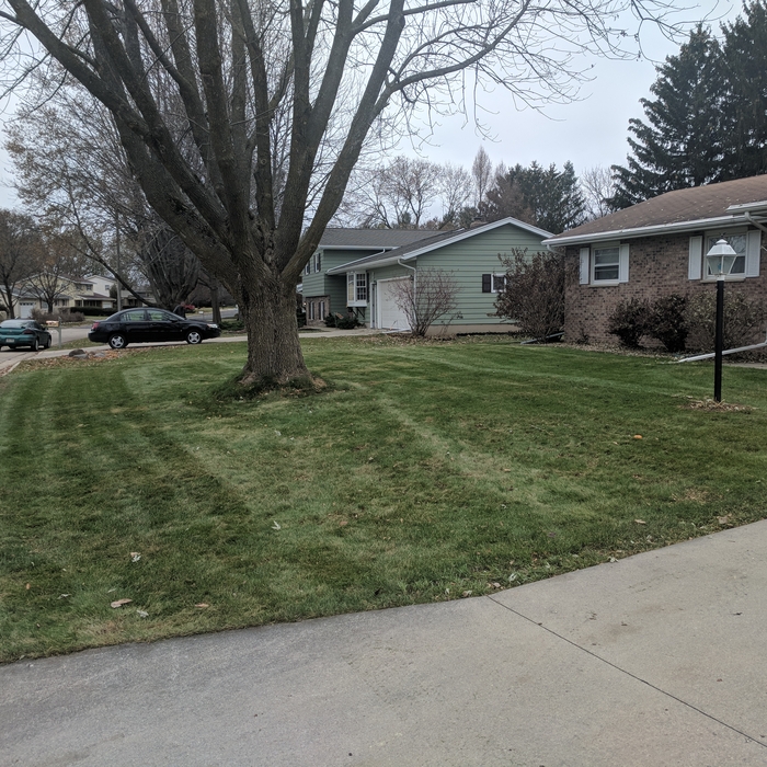 Lawn Care