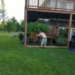 Spring Clean up