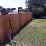 New fencing