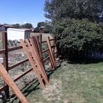 New cedar fencing