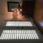 Atrium Doors with shutters