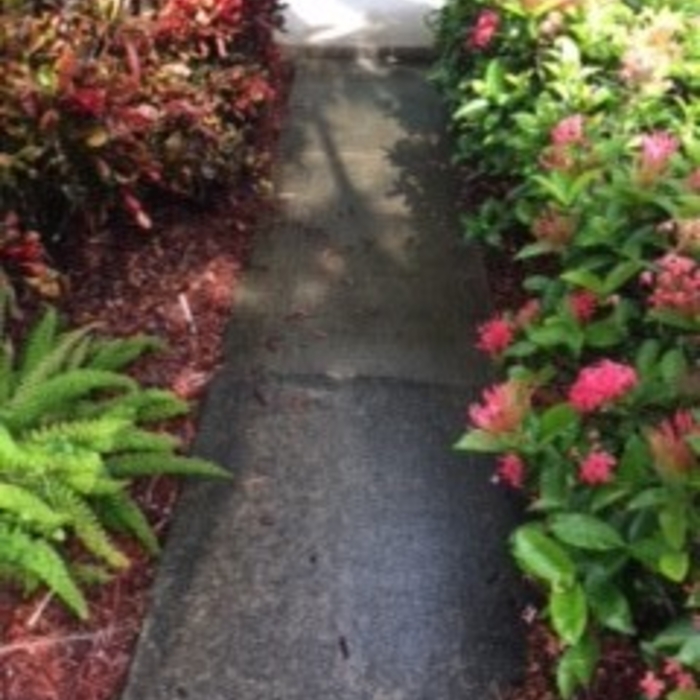 Walkway