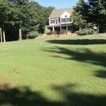 1 month after hydroseeding