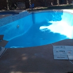 Pool Repair