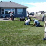 Installing Sod