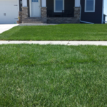 Sod Installs