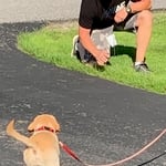 Training