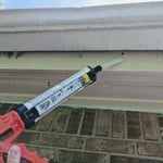 Seal Carpenter bee holes