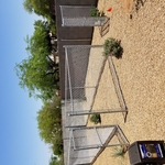 Dog run