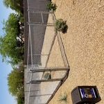 Dog run